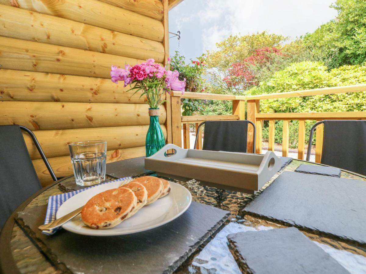 Willow Lodge Tenby Esterno foto